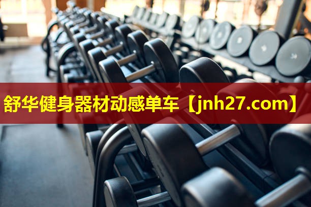 舒华健身器材动感单车