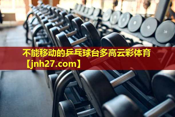 不能移动的乒乓球台多高云彩体育