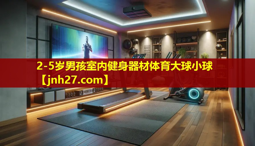 2-5岁男孩室内健身器材体育大球小球