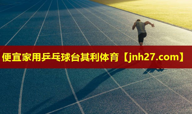 便宜家用乒乓球台其利体育