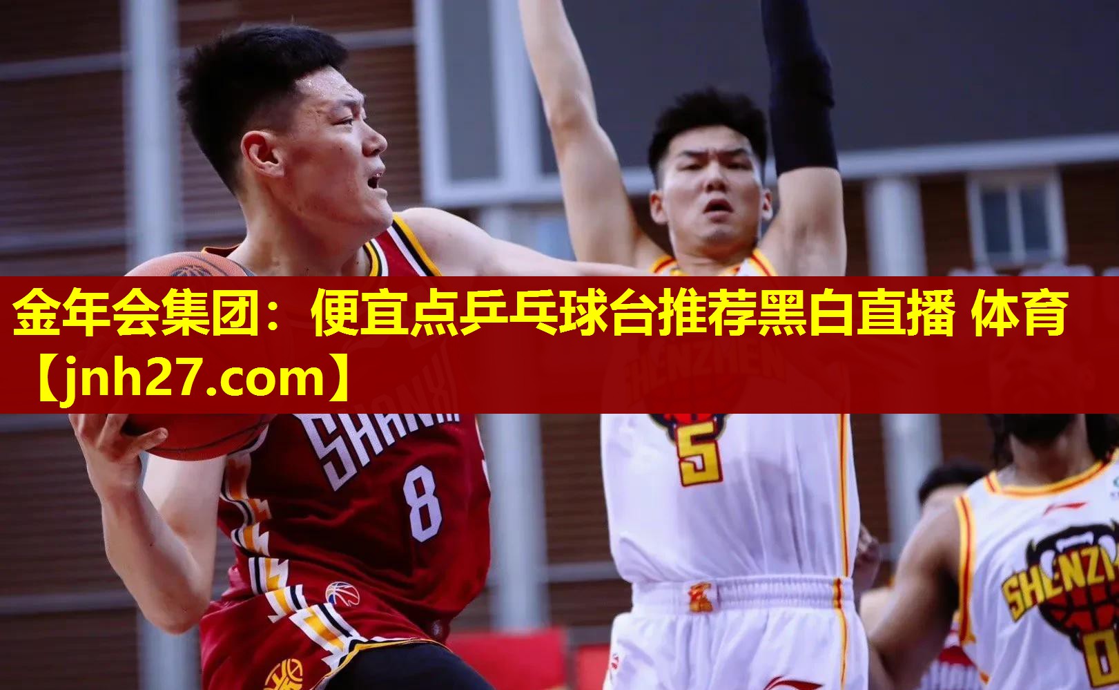 金年会集团：便宜点乒乓球台推荐黑白直播 体育