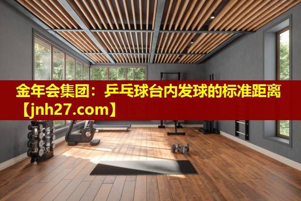 乒乓球台内发球的标准距离
