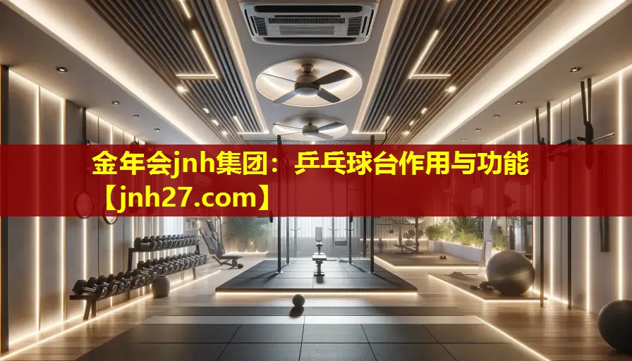 乒乓球台作用与功能